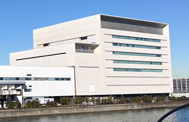 Head Office