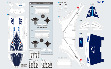 Boeing 787 Special Coating