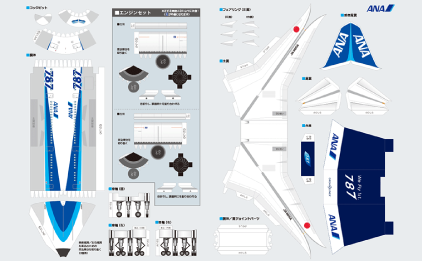 Boeing 787 Standard Coating